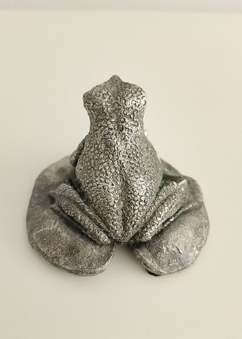 Gümüş kaplama kurbağa ve yavrusu - Görsel 6