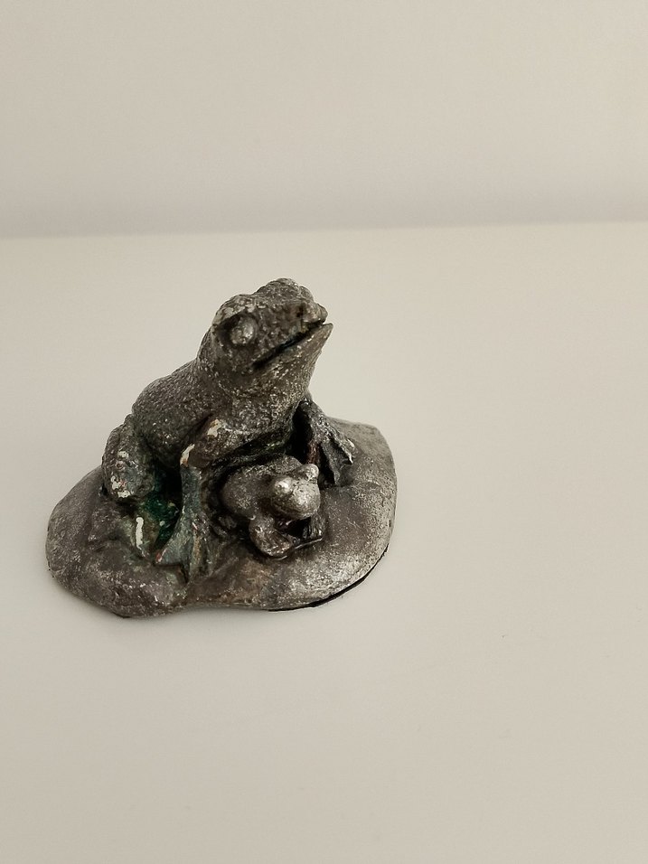 Gümüş kaplama kurbağa ve yavrusu - Görsel 2