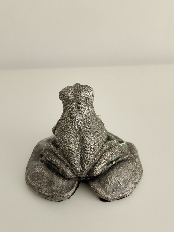 Gümüş kaplama kurbağa ve yavrusu - Görsel 4