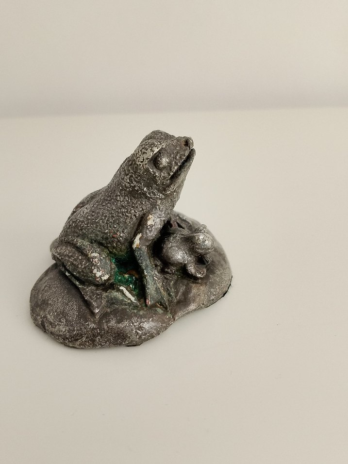 Gümüş kaplama kurbağa ve yavrusu - Görsel 5