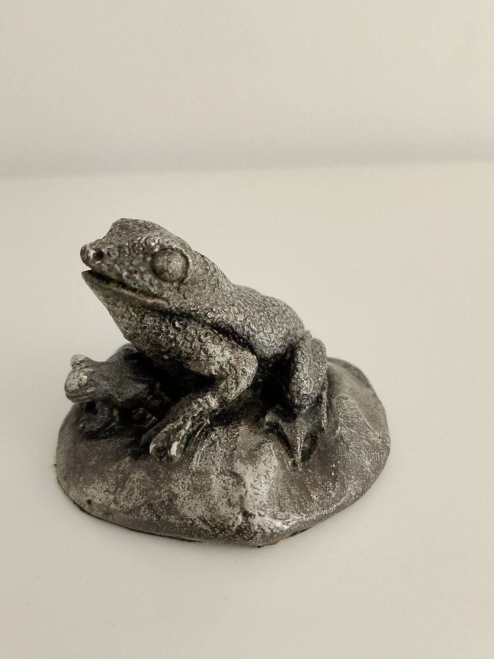 Gümüş kaplama kurbağa ve yavrusu - Görsel 3