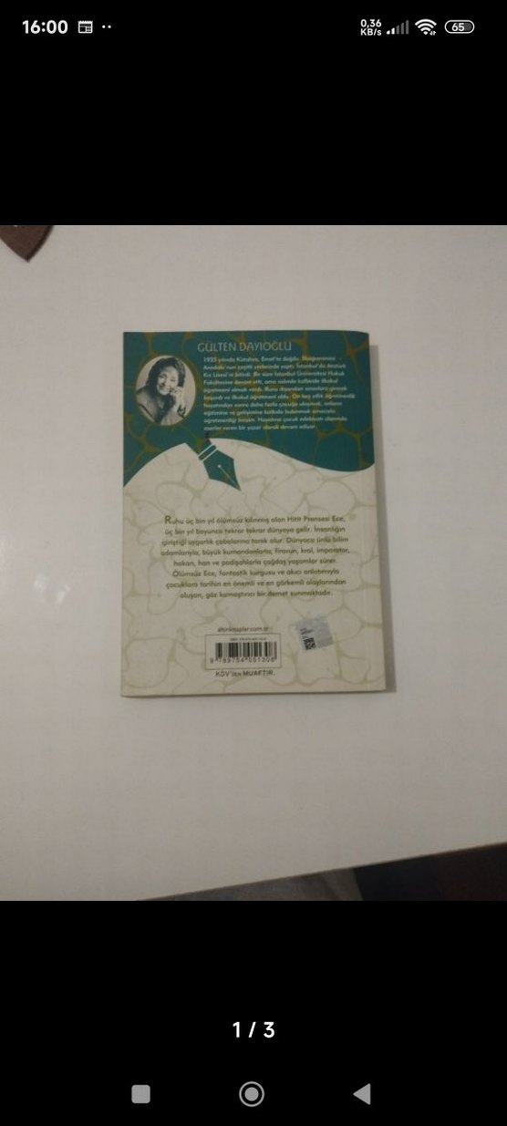 Roman Kitap-Ölümsüz Ece - Görsel 2