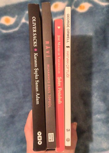 4 Kitap Seti: Hayvan Çiftliği ve Diğerleri - Görsel 2