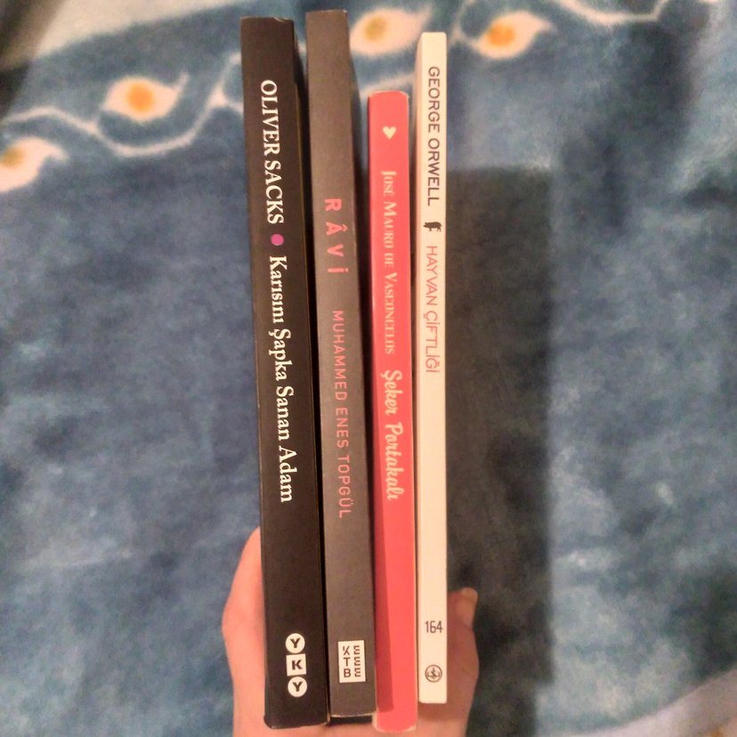 4 Kitap Seti: Hayvan Çiftliği ve Diğerleri - Görsel 2