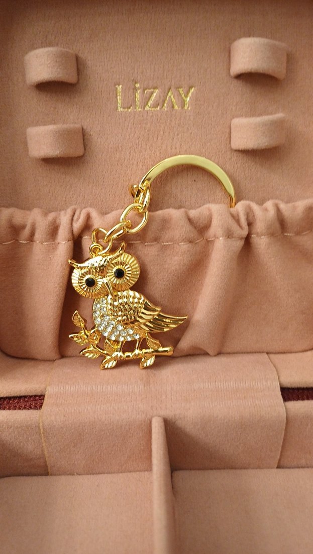 Altın Renk Parlak özel seri baykuş anahtarlık/çanta süsü - Görsel 5