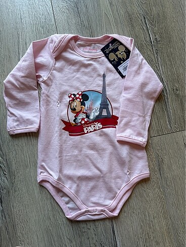 Disneyland minnie body