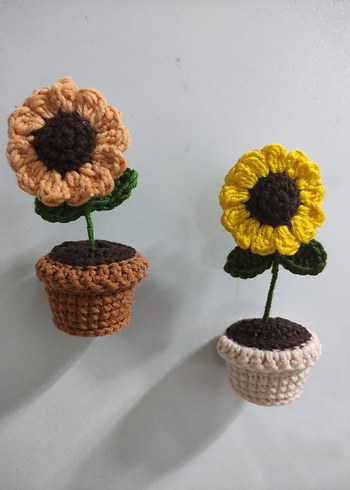 Saksıda Papatya  Magnet - Görsel 2