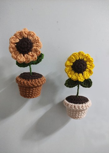 Saksıda Papatya  Magnet - Görsel 3