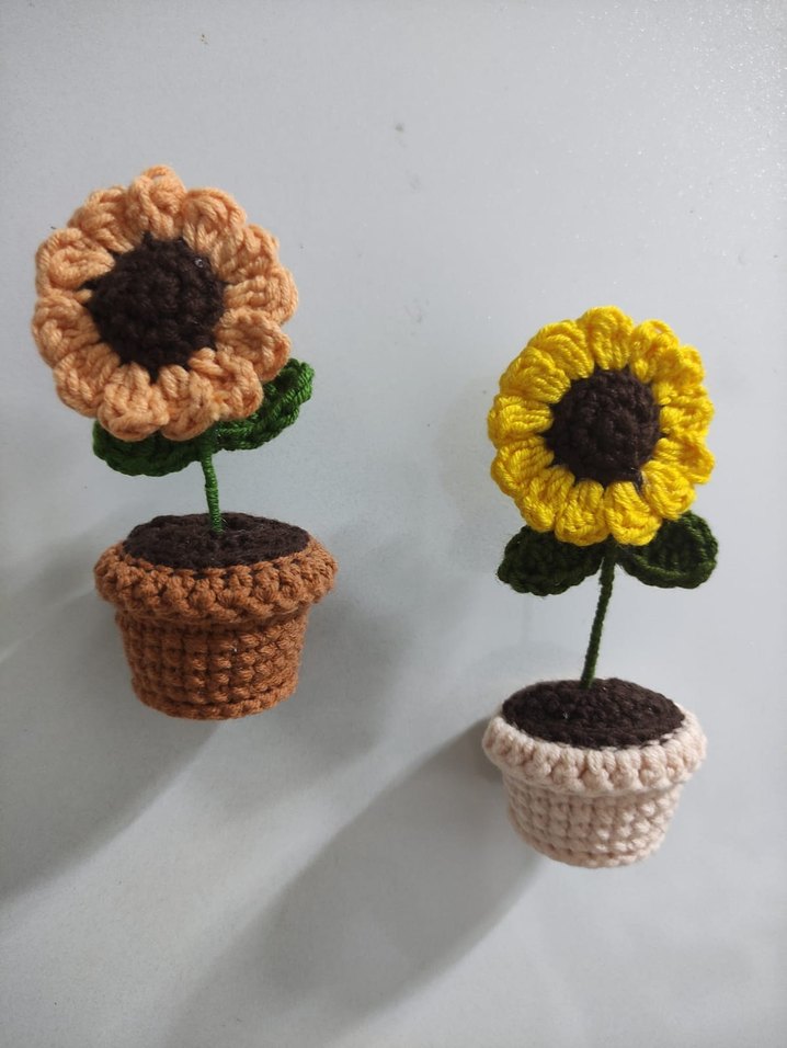 Saksıda Papatya  Magnet - Görsel 2