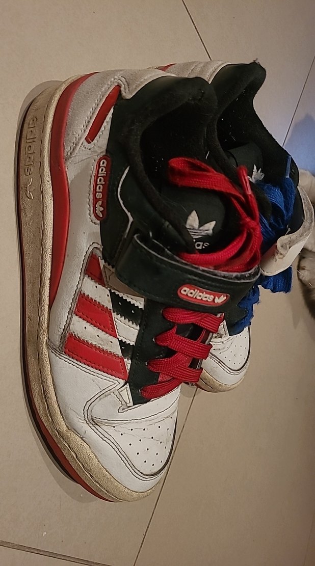 Renkli Erkek Ayakkabı Bağcıkları - Görsel 3