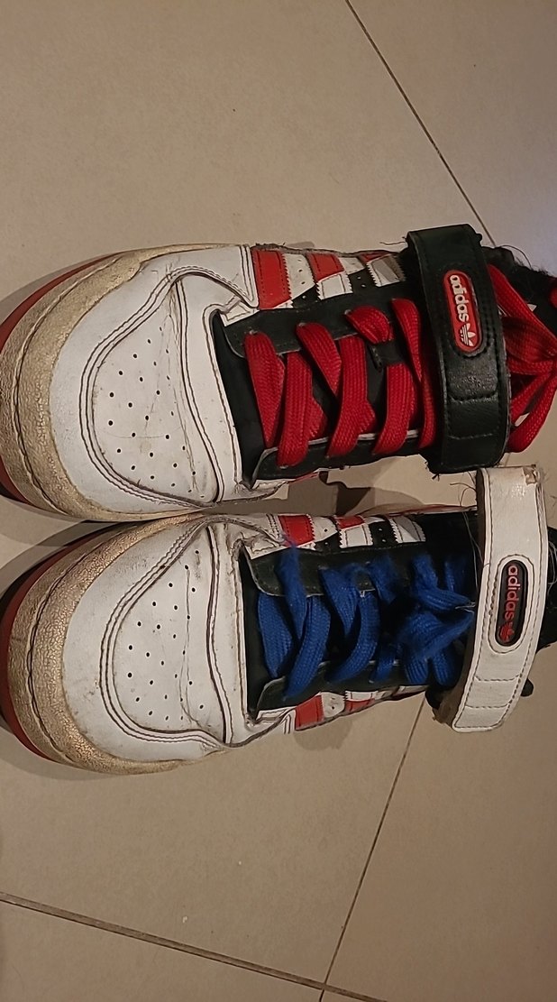 Renkli Erkek Ayakkabı Bağcıkları - Görsel 2