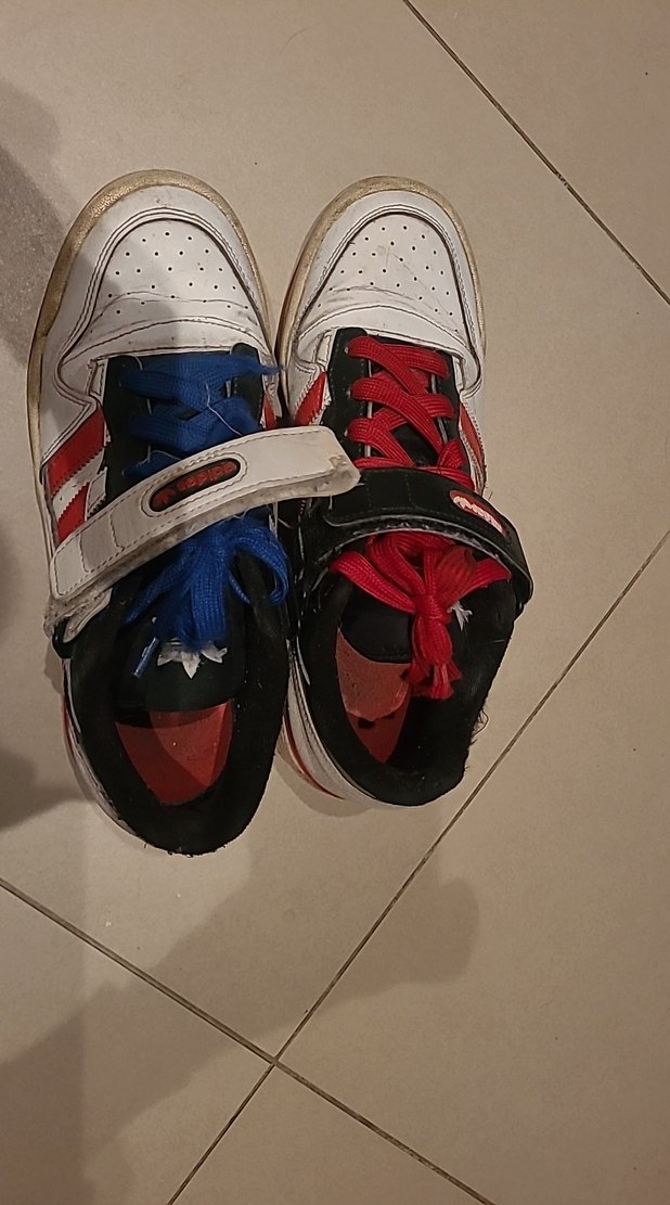 Renkli Erkek Ayakkabı Bağcıkları - Görsel 5