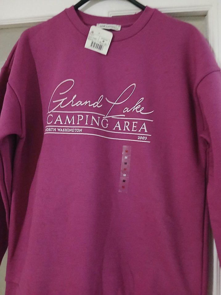 pembe Baskılı Kadın Sweatshirt - Görsel 4