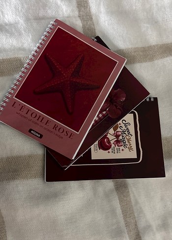 Bordo Parlak Kapaklı Spiralli Defter - Görsel 3