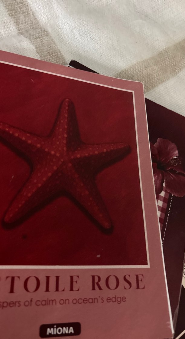 Bordo Parlak Kapaklı Spiralli Defter - Görsel 2