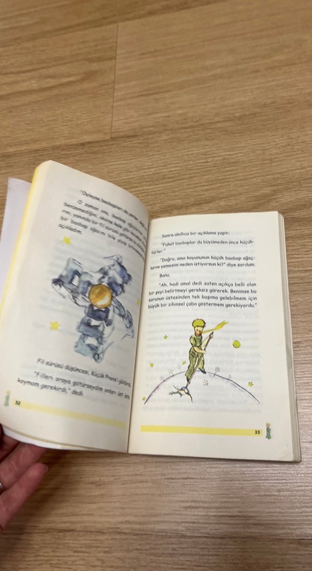 Küçük Prens - Antoine de Saint-Exupery - Görsel 4