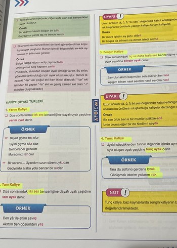 AYT Edebiyat Konu Özeti Kitabı - Görsel 2