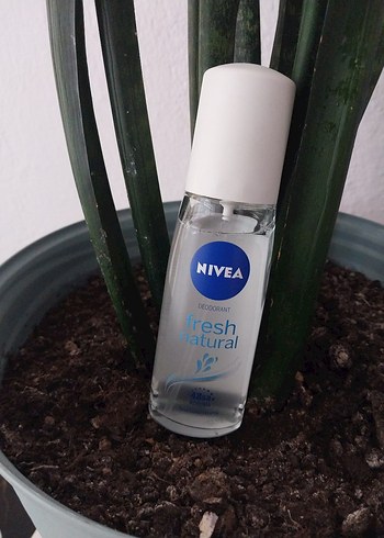 Nivea