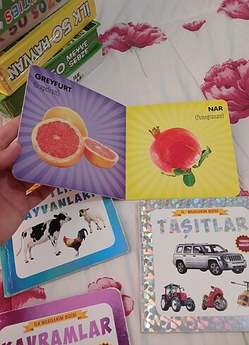 Beden Renk 4 adet egitici bebek kitabı