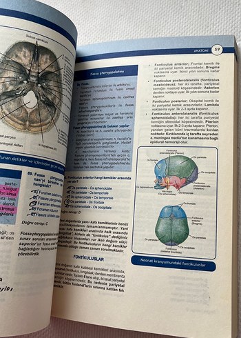 Miadent Anatomi Soruları Soru Kitabı - Görsel 3