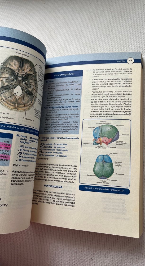Miadent Anatomi Soruları Soru Kitabı - Görsel 3