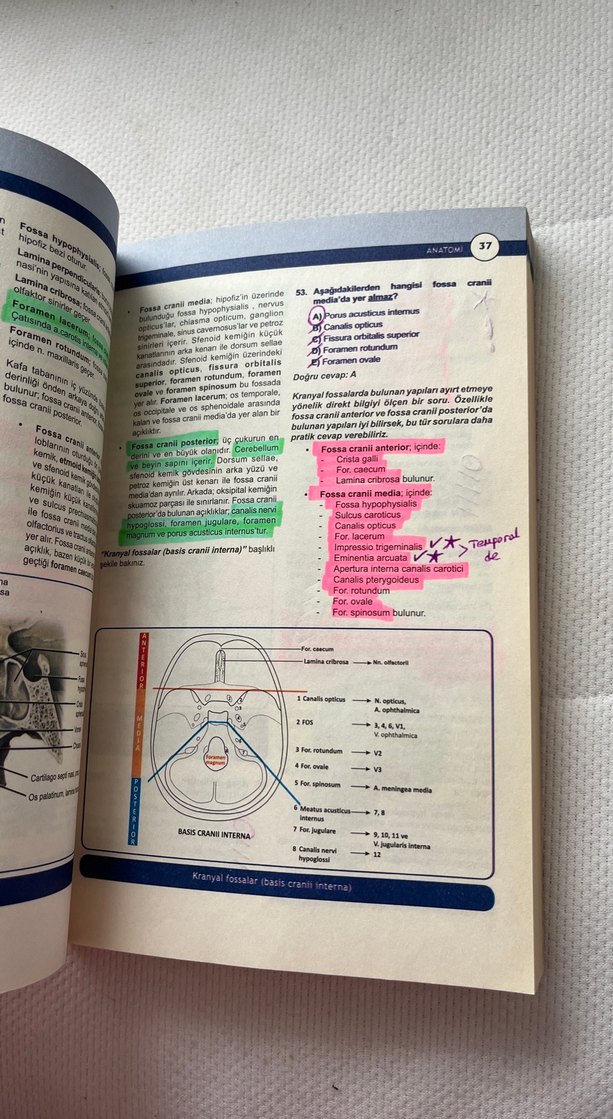 Miadent Anatomi Soruları Soru Kitabı - Görsel 4