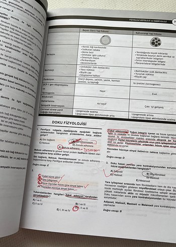 DUS Fizyoloji Histoloji-Embriyoloji Soru Serisi - Görsel 4
