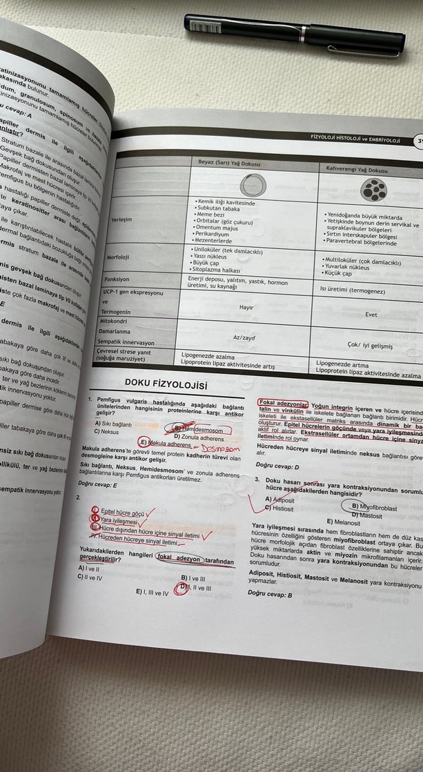 DUS Fizyoloji Histoloji-Embriyoloji Soru Serisi - Görsel 4