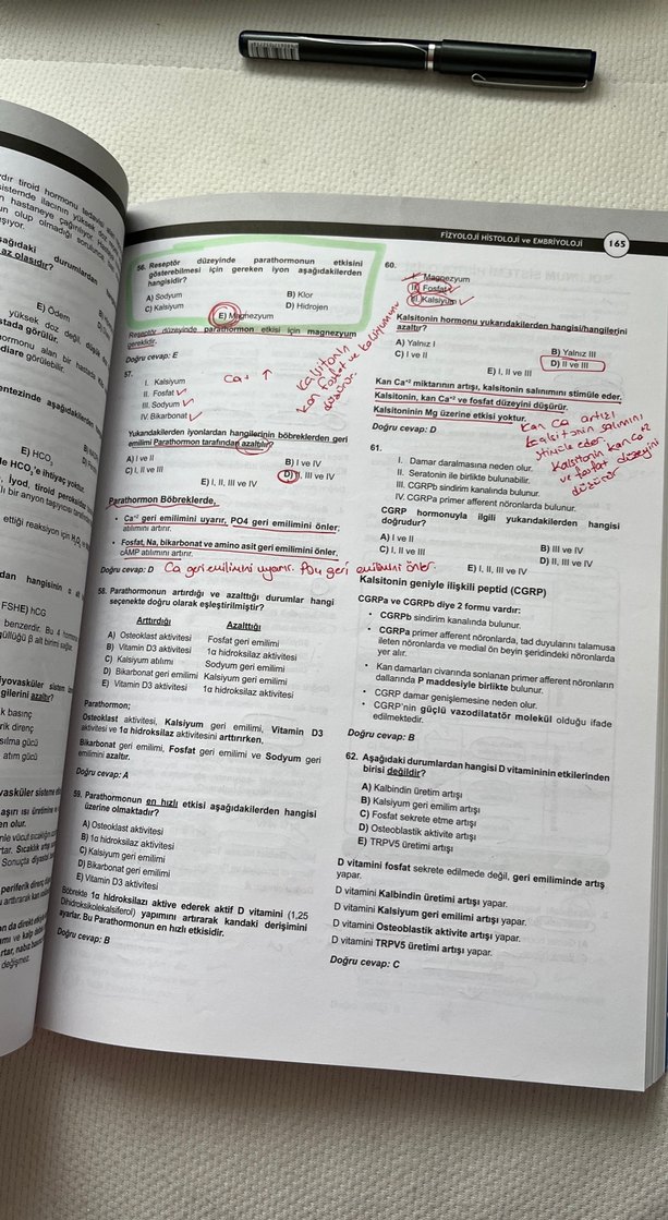 DUS Fizyoloji Histoloji-Embriyoloji Soru Serisi - Görsel 2