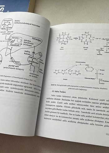 Temel ve Uygulamalı Biyokimya Kitabı - Görsel 2