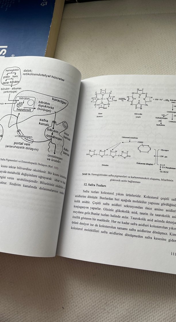 Temel ve Uygulamalı Biyokimya Kitabı - Görsel 2