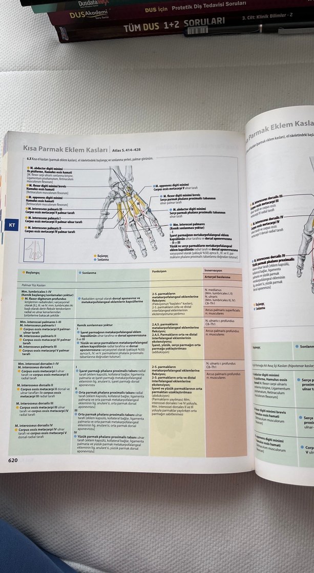 İnsan Anatomisi Atlası Kas Tabloları ile 3. Baskı - Görsel 2