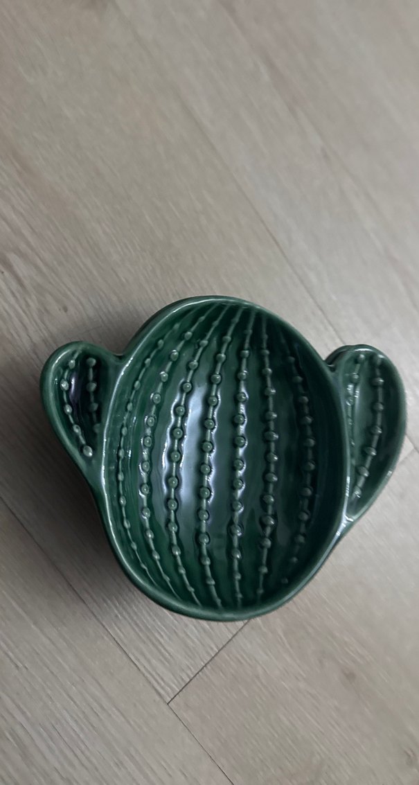 Kaktüs Desenli Yeşil Seramik Kase Seti - Görsel 5