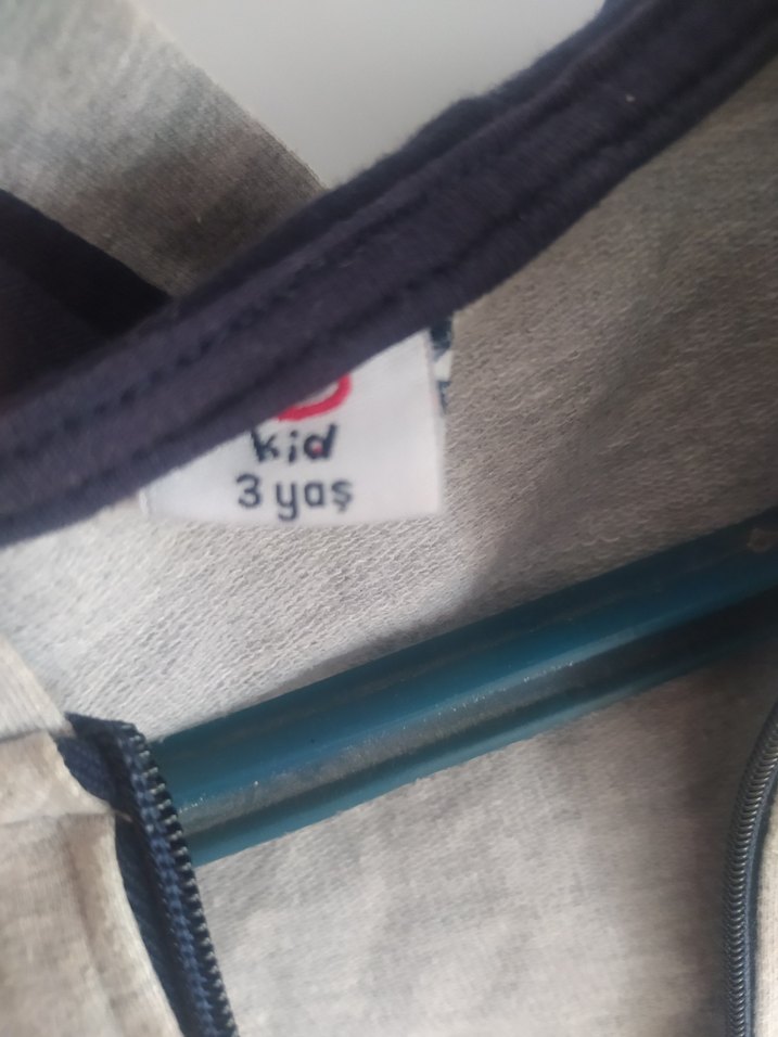 Gri Kapüşonlu Erkek Çocuk Sweatshirt - Görsel 4