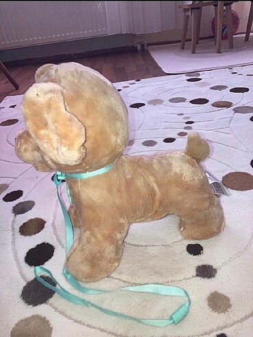 Diğer Oyuncak köpek milo