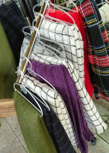 atkııı - Görsel 4