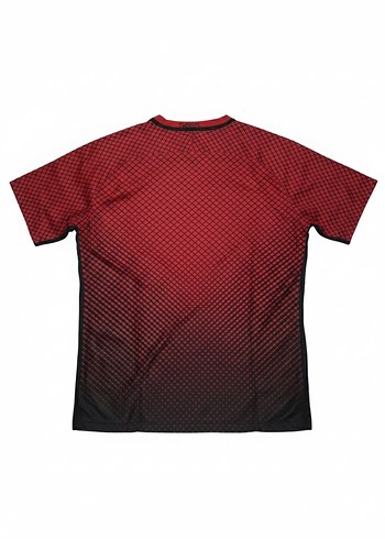 Türkiye Milli Takımı Euro 2016 Forması - Görsel 2