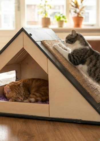 Modern Üçgen Kedi Evi ve Tırmalama Tahtası - Görsel 6