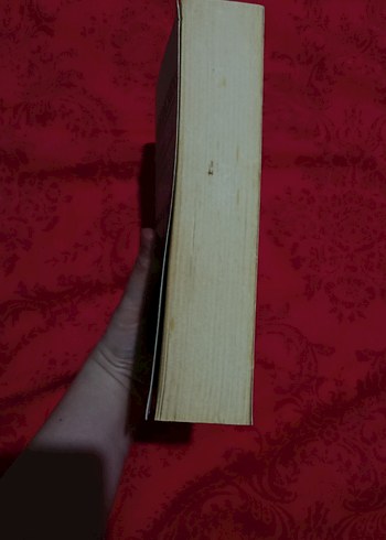 İki Şehrin Hikayesi - Charles Dickens - Görsel 3