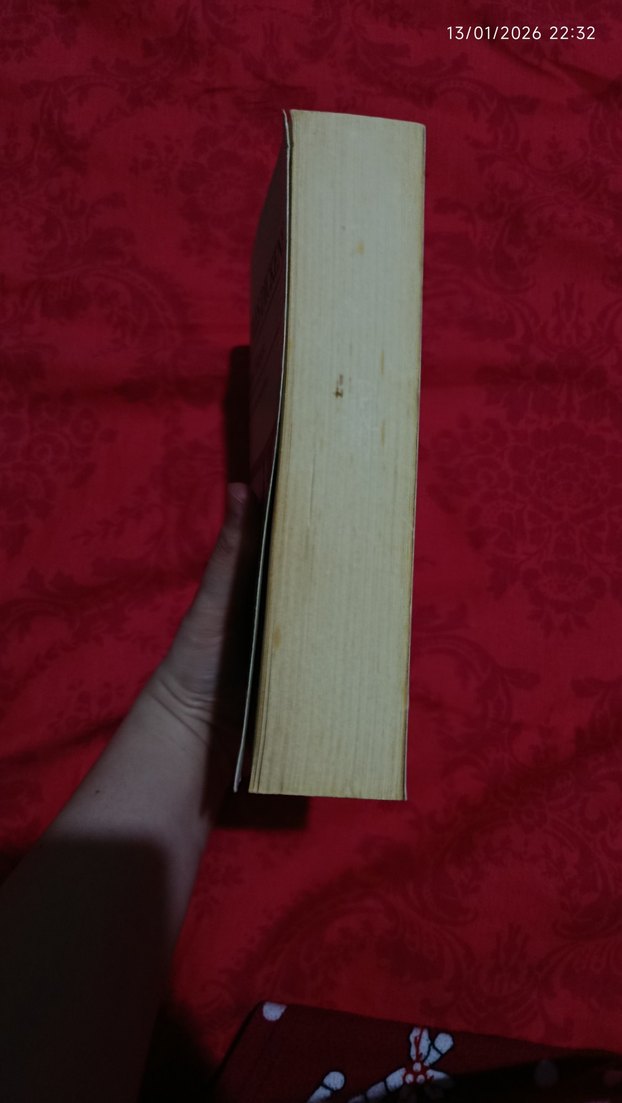 İki Şehrin Hikayesi - Charles Dickens - Görsel 3