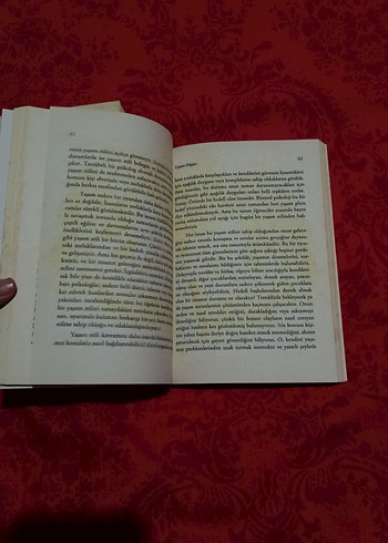 Alfred Adler Üçlemesi - Yaşam Bilgisi ve Sorunlar - Görsel 8