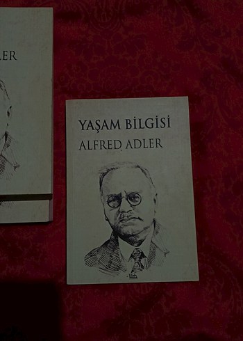 Alfred Adler Üçlemesi - Yaşam Bilgisi ve Sorunlar - Görsel 4