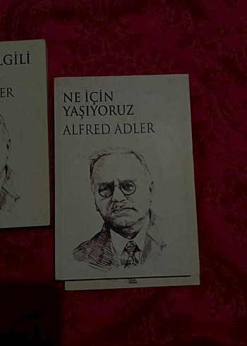 Alfred Adler Üçlemesi - Yaşam Bilgisi ve Sorunlar - Görsel 3