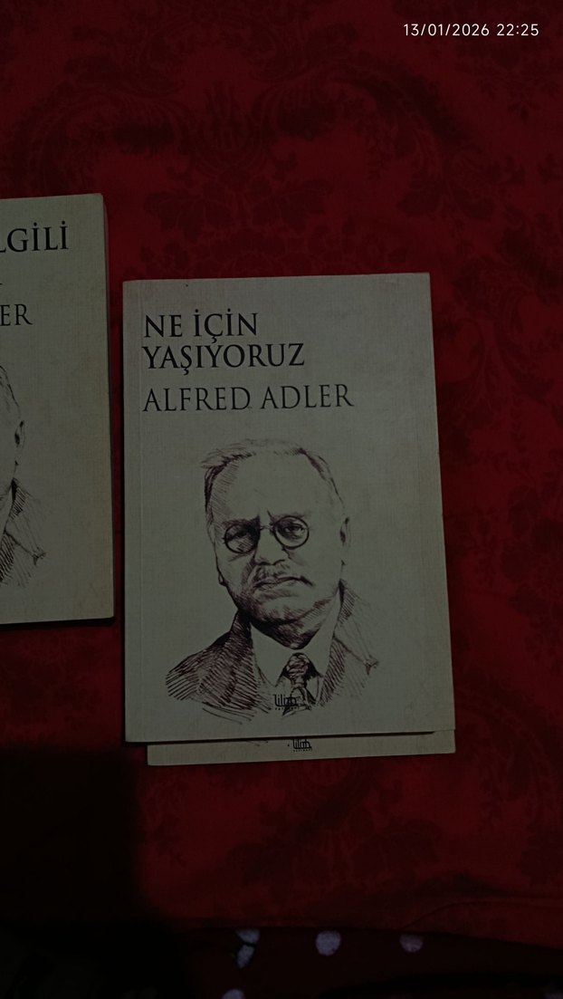 Alfred Adler Üçlemesi - Yaşam Bilgisi ve Sorunlar - Görsel 3