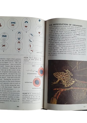 GENERAL SCIENCE  Orijinal İngilizce Ders Kitabı - Görsel 6