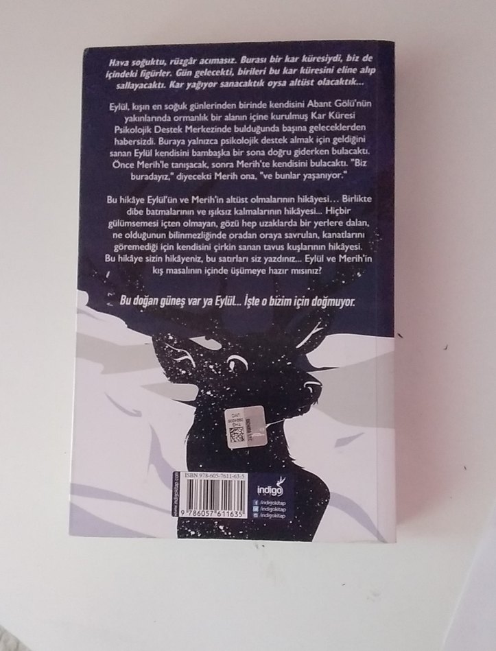 Beyza Alkoç - Kar Küresi - Görsel 2