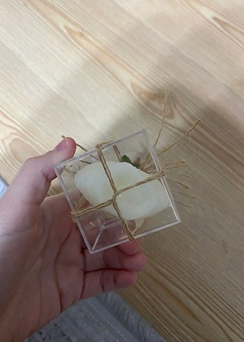 Beyaz Midye  Şeklinde Mum ve Kutusu - Görsel 3