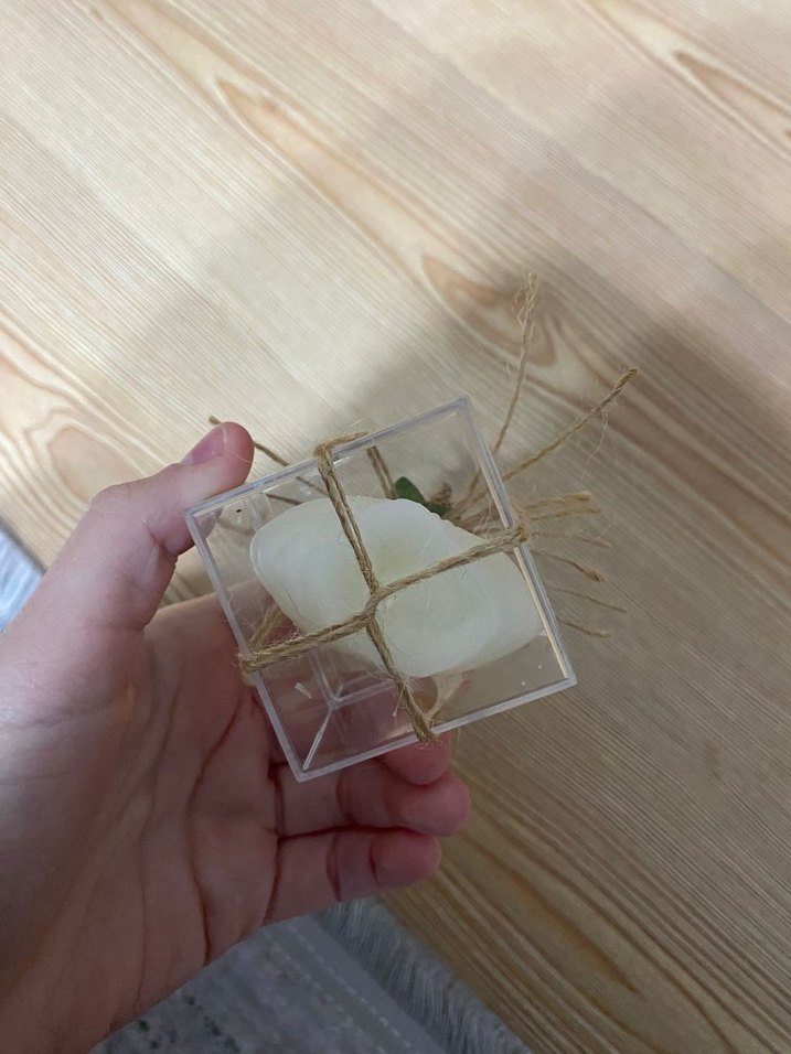 Beyaz Midye  Şeklinde Mum ve Kutusu - Görsel 3