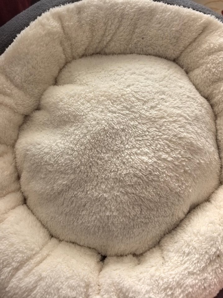 Peluş Kedi/ köpek yatağı - Görsel 3