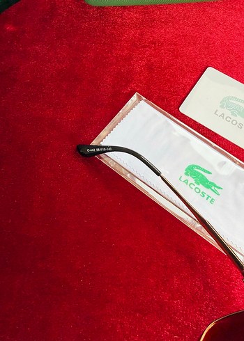 LACOSTE GÜNEŞ GÖZLÜĞÜ - Görsel 5